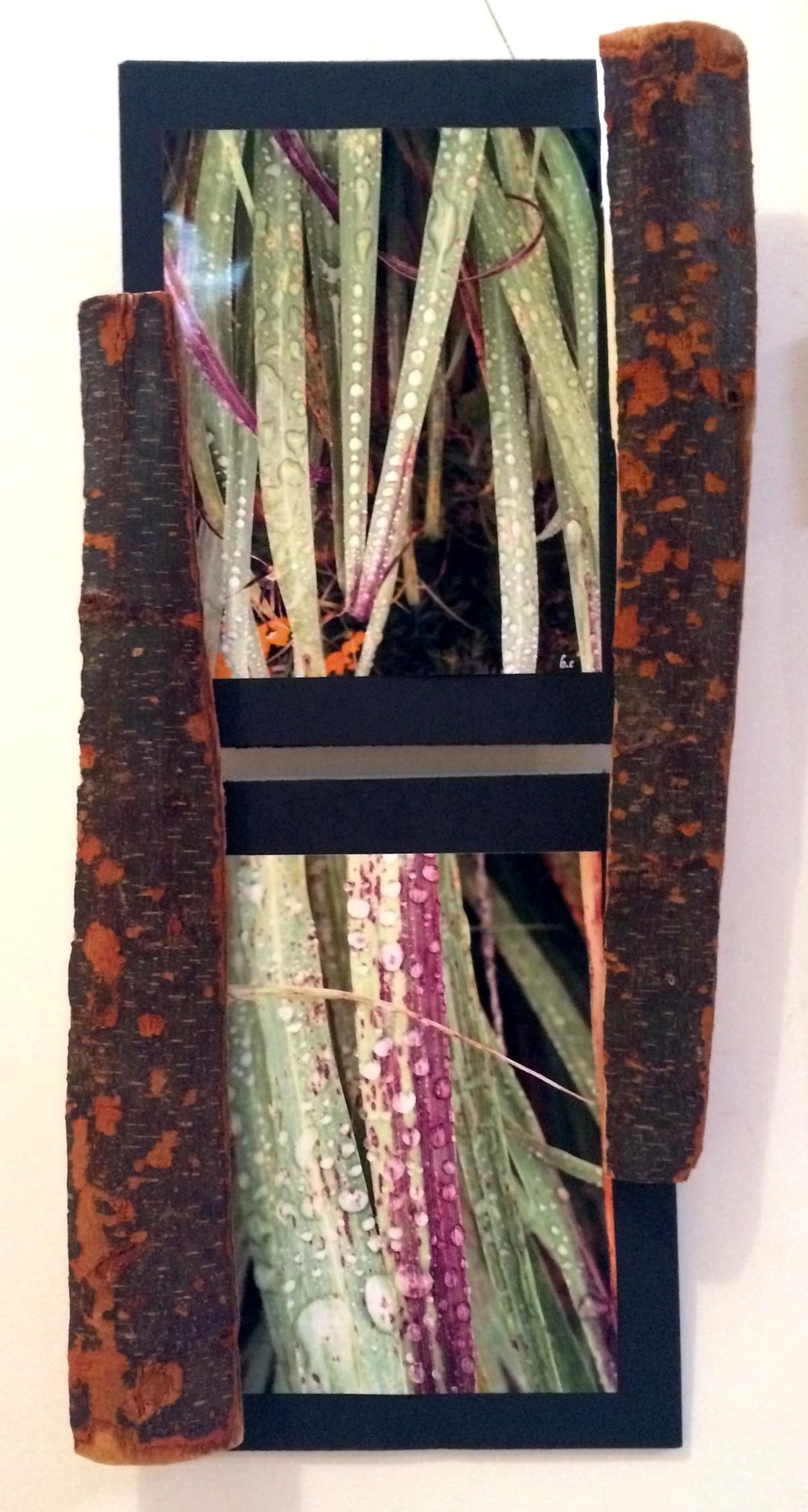These photos were taken after a sudden rain shower in Maui, Hawaii late spring of 2016. Rain and sun are constant companions in the tropics, and make for beautiful bejeweled reflections. The frame was fashioned from an arbutus trunk washed up here in Victoria from the Salish Sea.