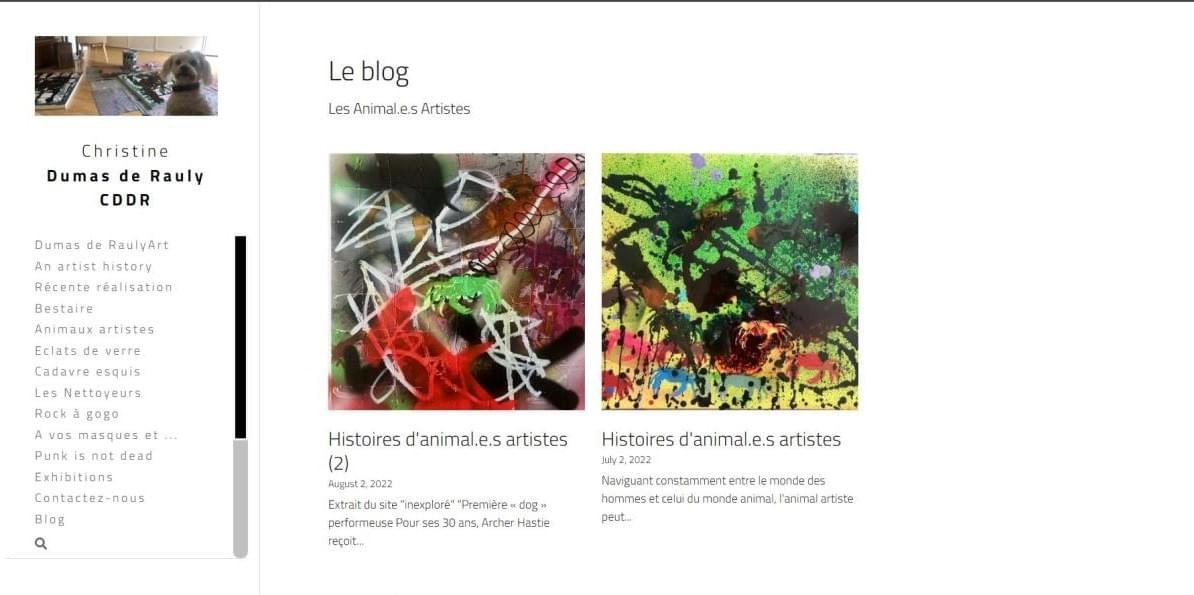 Le site Dumas Rauly sur Strikingly