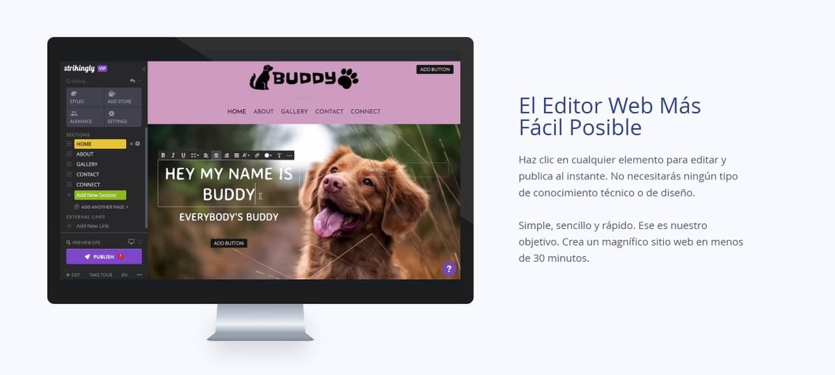 Strikingly es el editor web más fácil posible