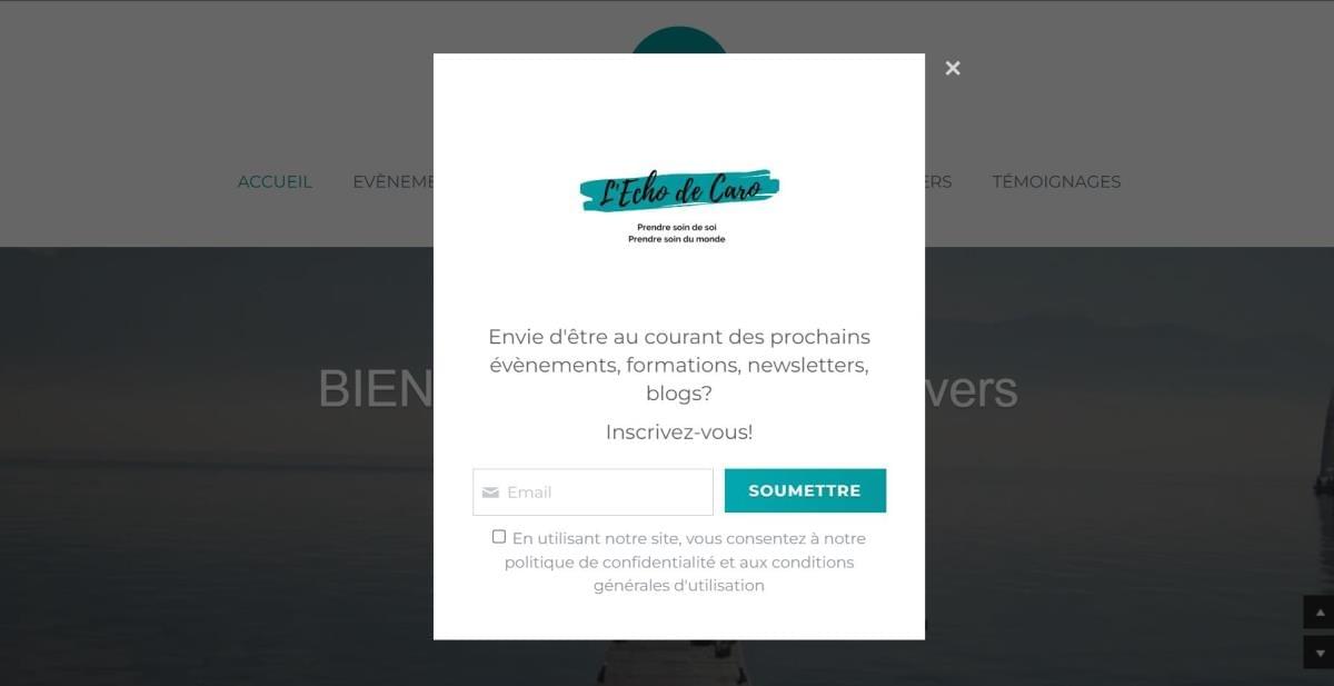 Le site Echo Caro sur Strikingly