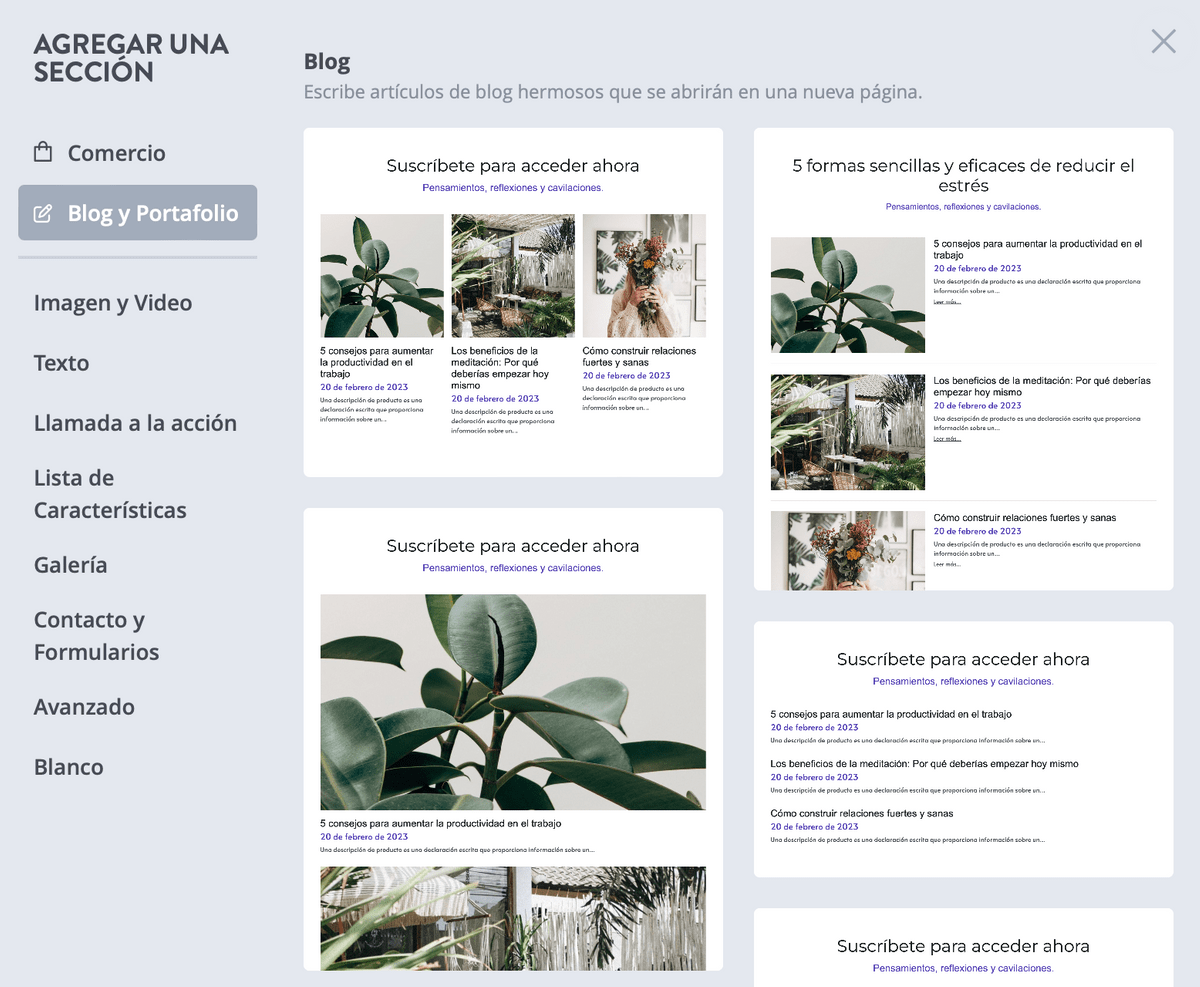 recopila tus mejores trabajos para tu portafolio