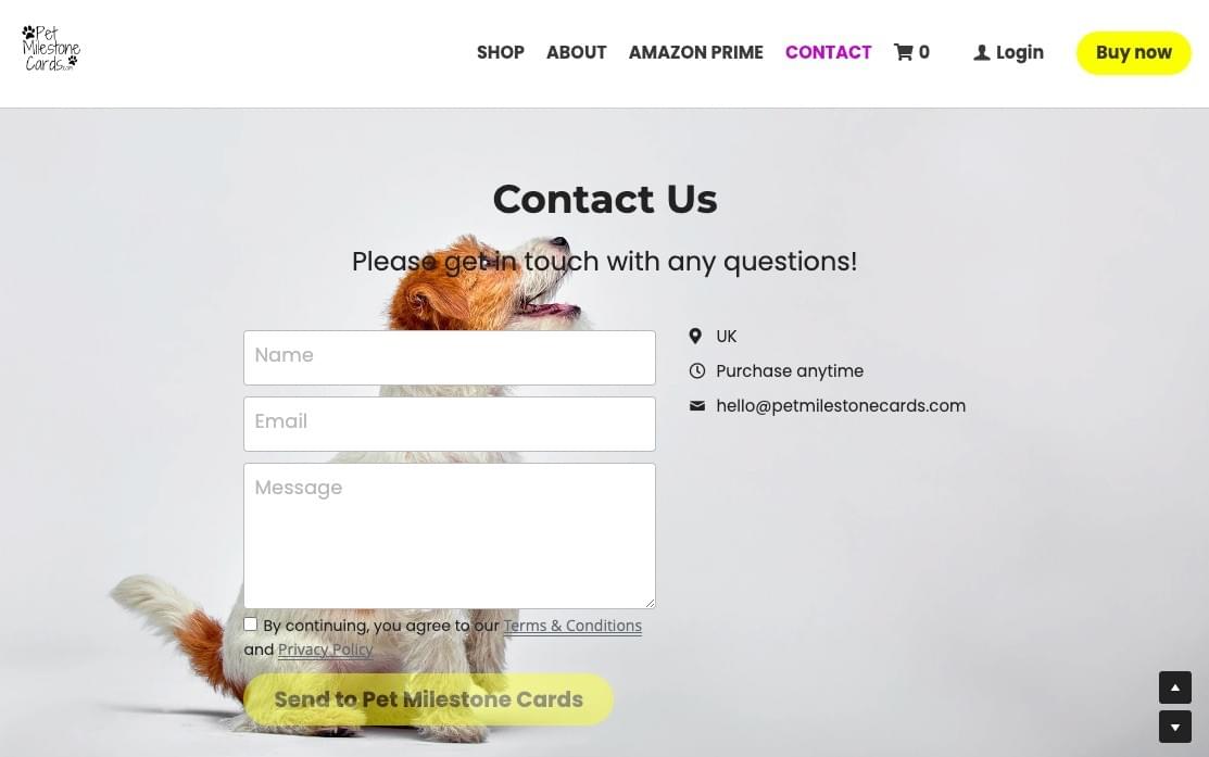 連絡先フォーム