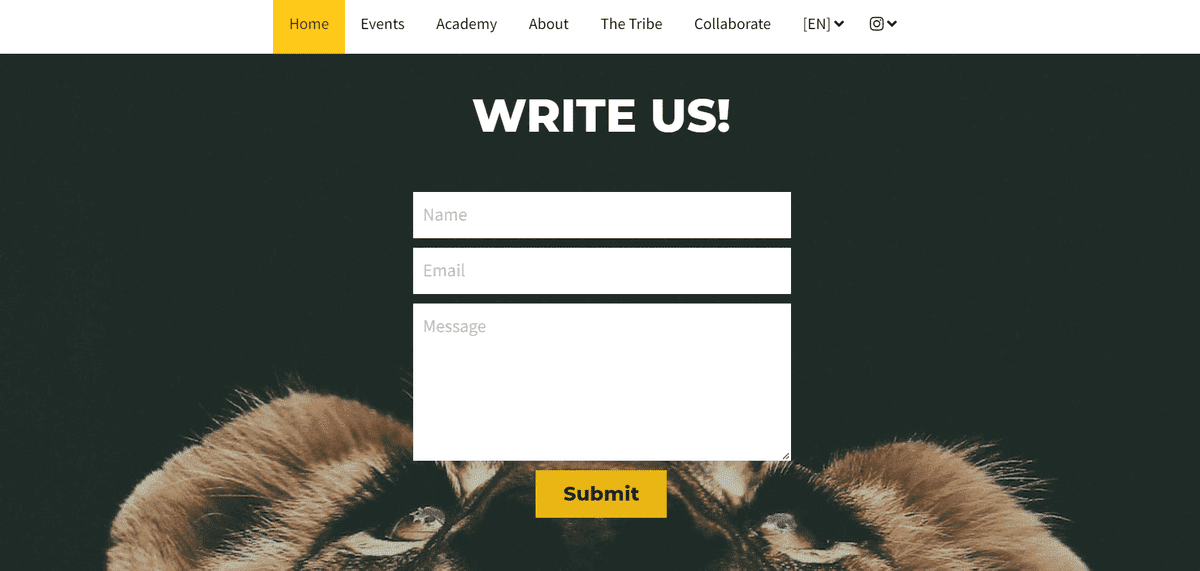 Sfaturi pentru scrierea celor mai bune linii de subiect pentru e-mail, cum ar fi Playfight