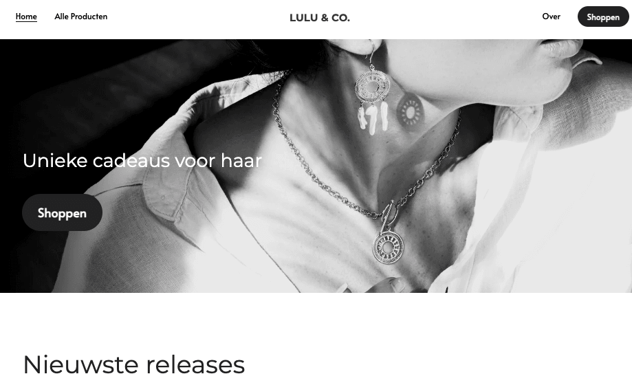 Start een Sieradenbedrijf: Lulu & Co Online Sieradenwinkel Sjabloon