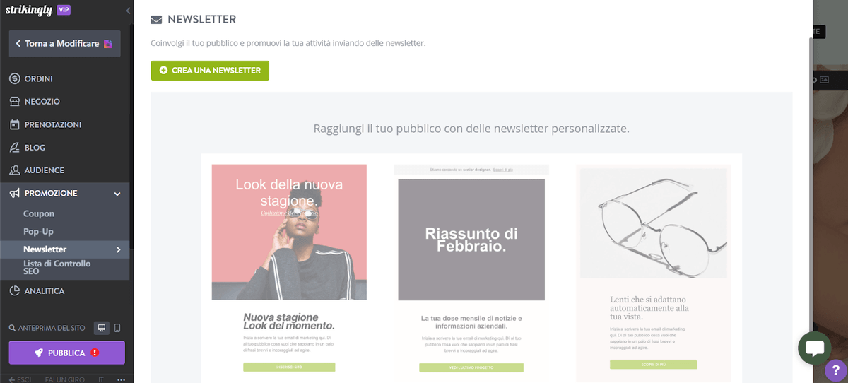 Crea una newsletter su Strikingly per il marketing di sensibilizzazione