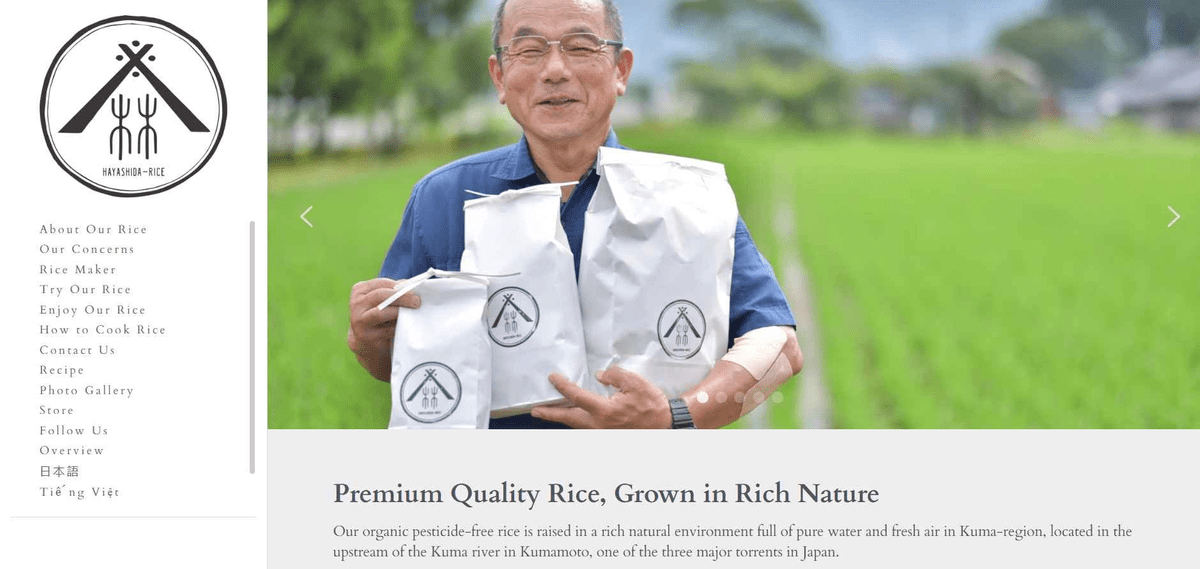 为您的企业拥有一个网站