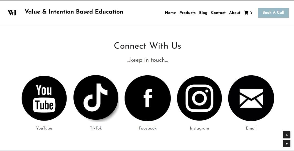 Le site Vibe Mentor sur Strikingly