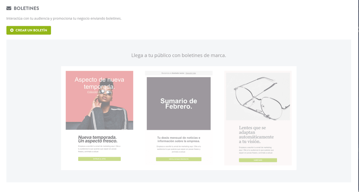 Artículo destacado del boletín informativo Strikingly