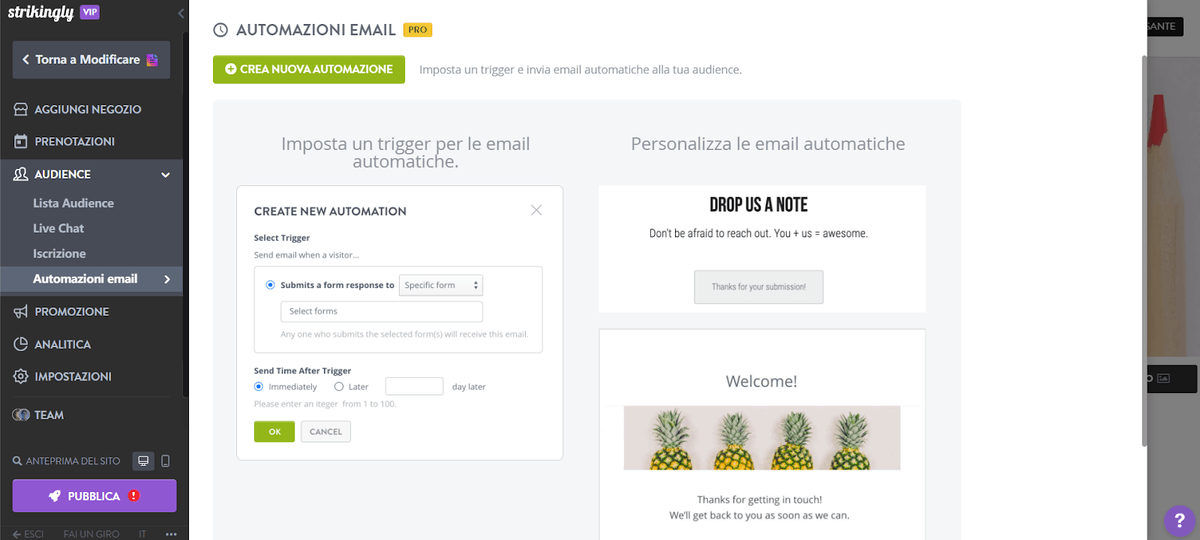 Utilizzare tecniche di email marketing per vendere prodotti digitali