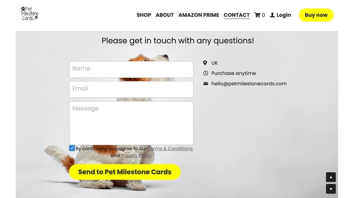 Renforcez votre entreprise avec des conditions générales claires