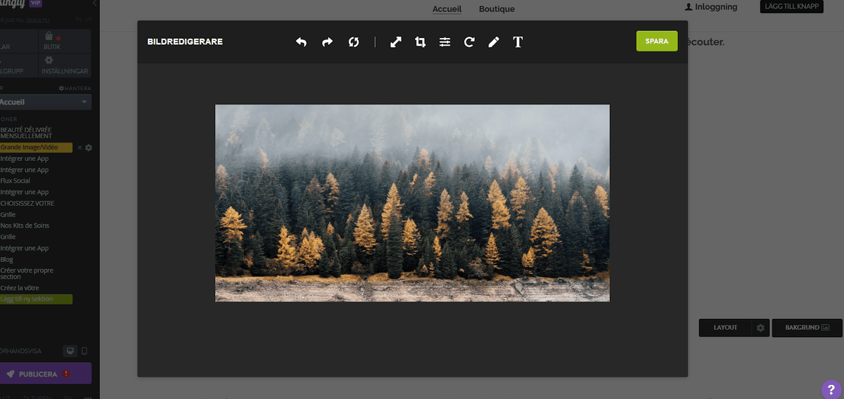 Förbättra din webbplats med sömlös bildintegration med Strikingly