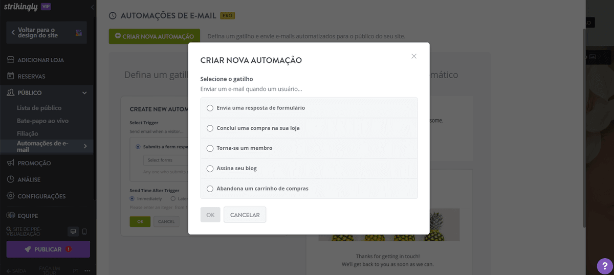 Definir gatilho personalizado na automação de e-mail do Strikingly