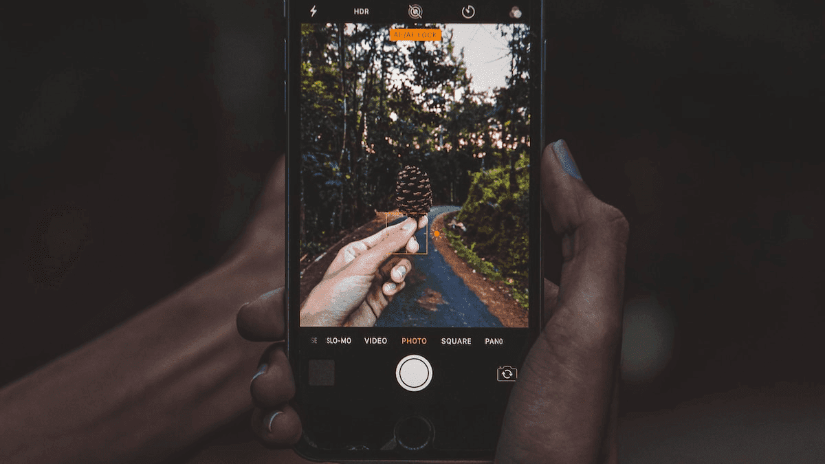 Perfekt bild: På väg till gratis bildhosting-sajter