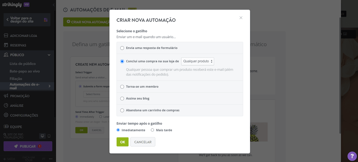 Defina o gatilho na automação de e-mail do Strikingly e o horário para enviar o e-mail da transação