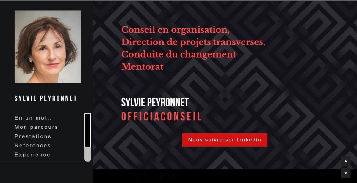 Le site Sylvie Peyronnet Officia Conseil sur Strikingly
