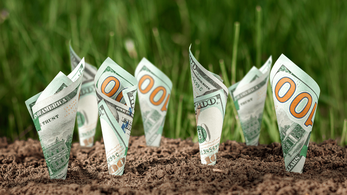 American Dollars Growing Out of the Ground