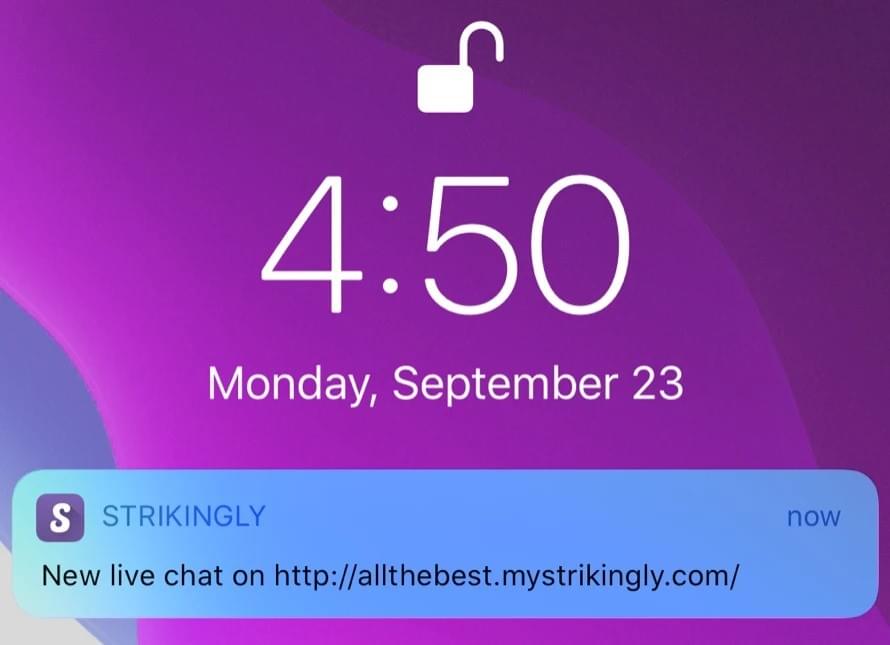 Mensaje del chat de Strikingly en la pantalla del móvil