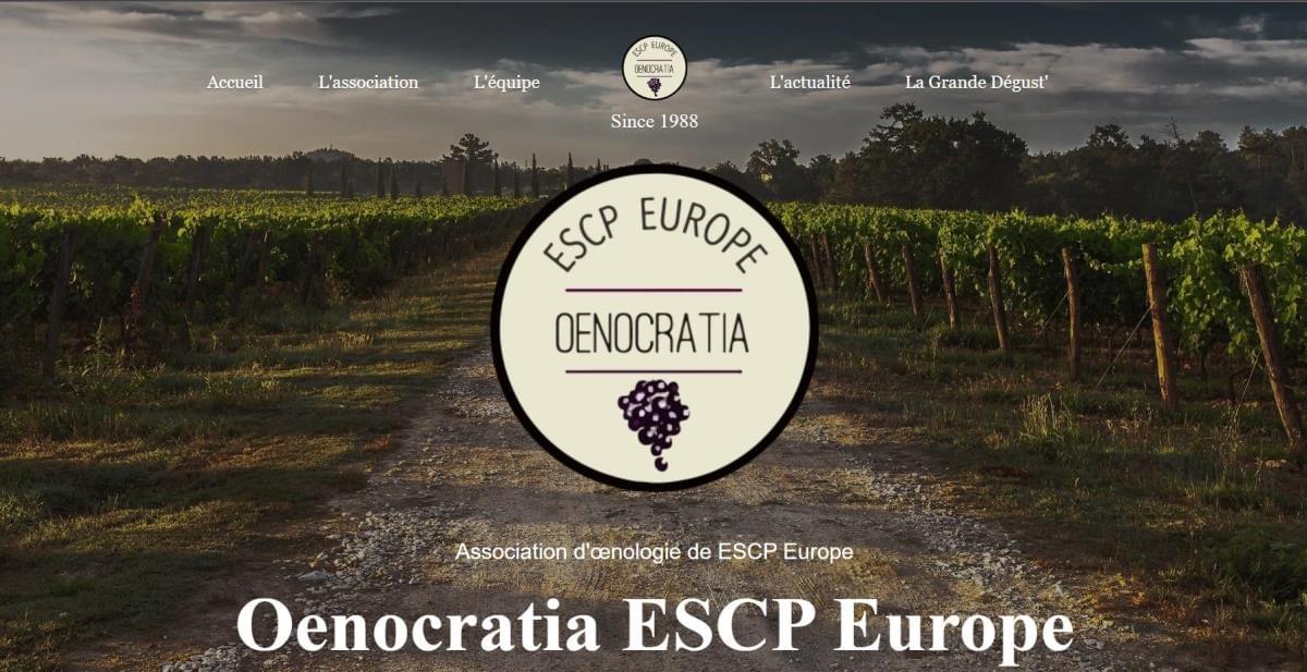Le site Oenocratia sur Strikingly