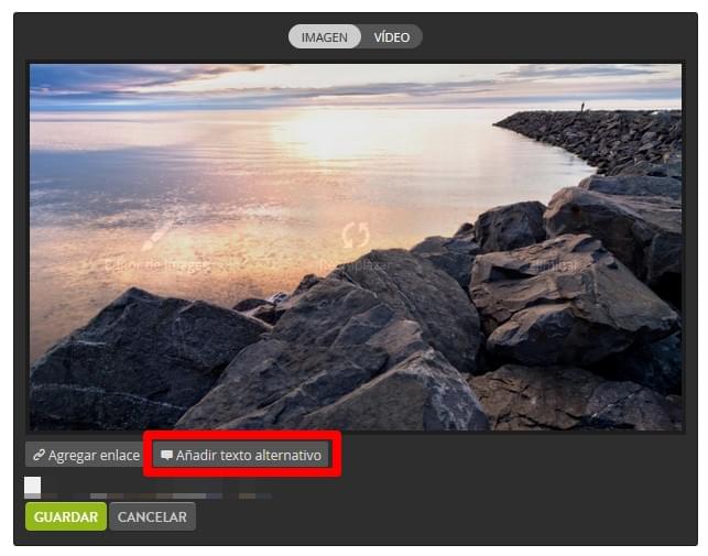 Añadir texto alternativo Strikingly