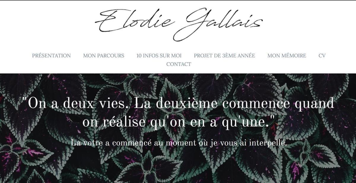 Le site Elodie Gallais sur Strikingly