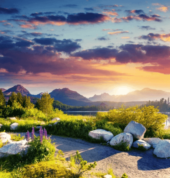 colorful sky and sunset shining over a clean nature path with inviting flowers and soft mountains in the backdrop