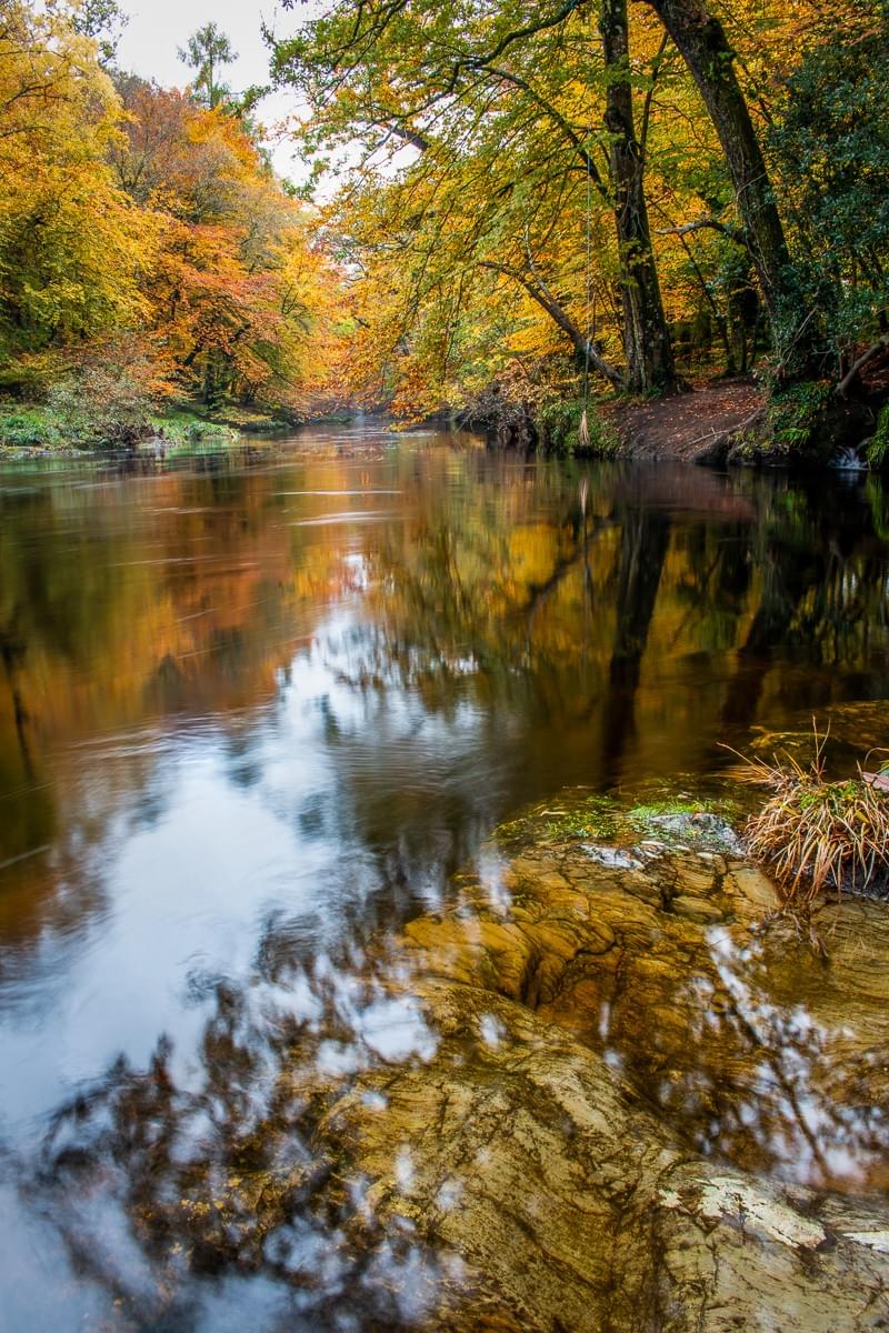 We implement strategies to restore salmon habitats and promote biodiversity in aquatic ecosystems. Conservation Efforts What We Do save our salmon action