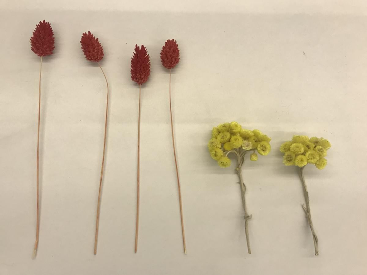 智樂活銀髮熟齡長者手機教學活動現場照片20180423