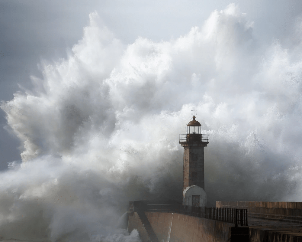 Crisis Communications