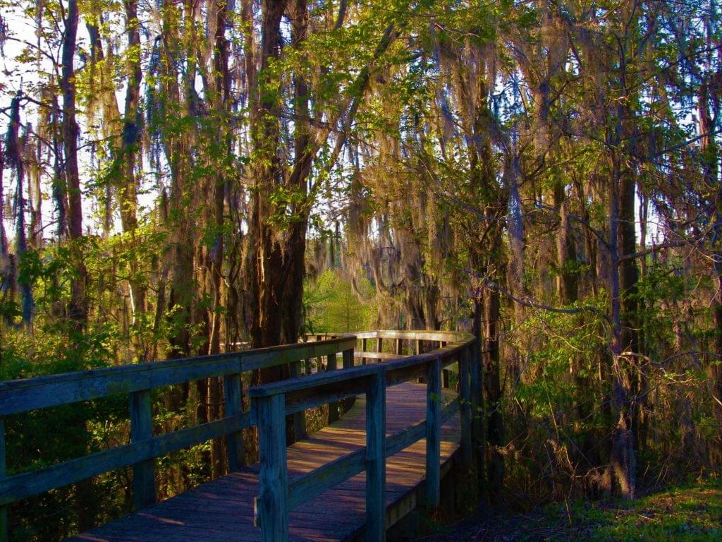 Augusta Georgia - Phinizy Swamp Nature Park - Bailey Decks and Sunrooms - Augusta GA & North Augusta SC