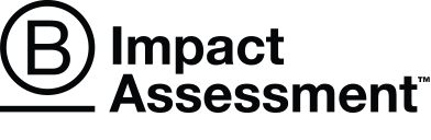 B Quick Impact Assessment