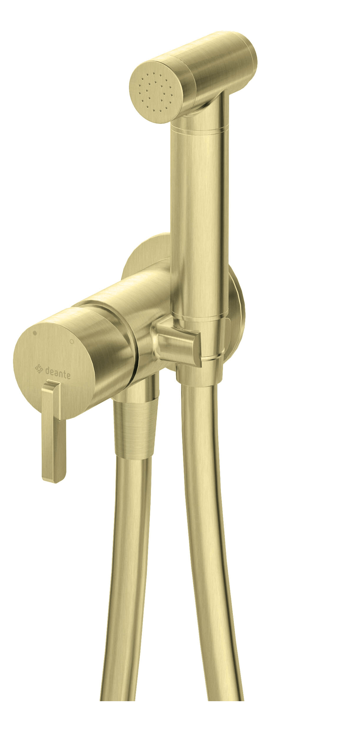 Ensemble hygiénique encastre WC  or brossé Tunisie / Ensemble hygiénique encastre WC  or brossé Tunisie / Ensemble hygiénique encastre WC  Deante or brossé Tunisie / Ensemble hygiénique encastre WC Deante Silia  or brossé Tunisie