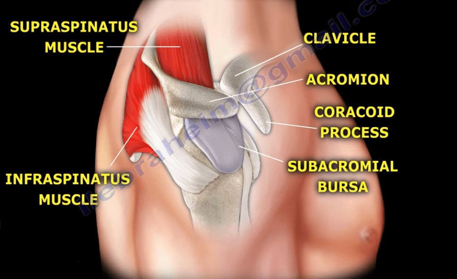 Shoulder Space Injection Shoulder Bursitis & Tendinitis Injections