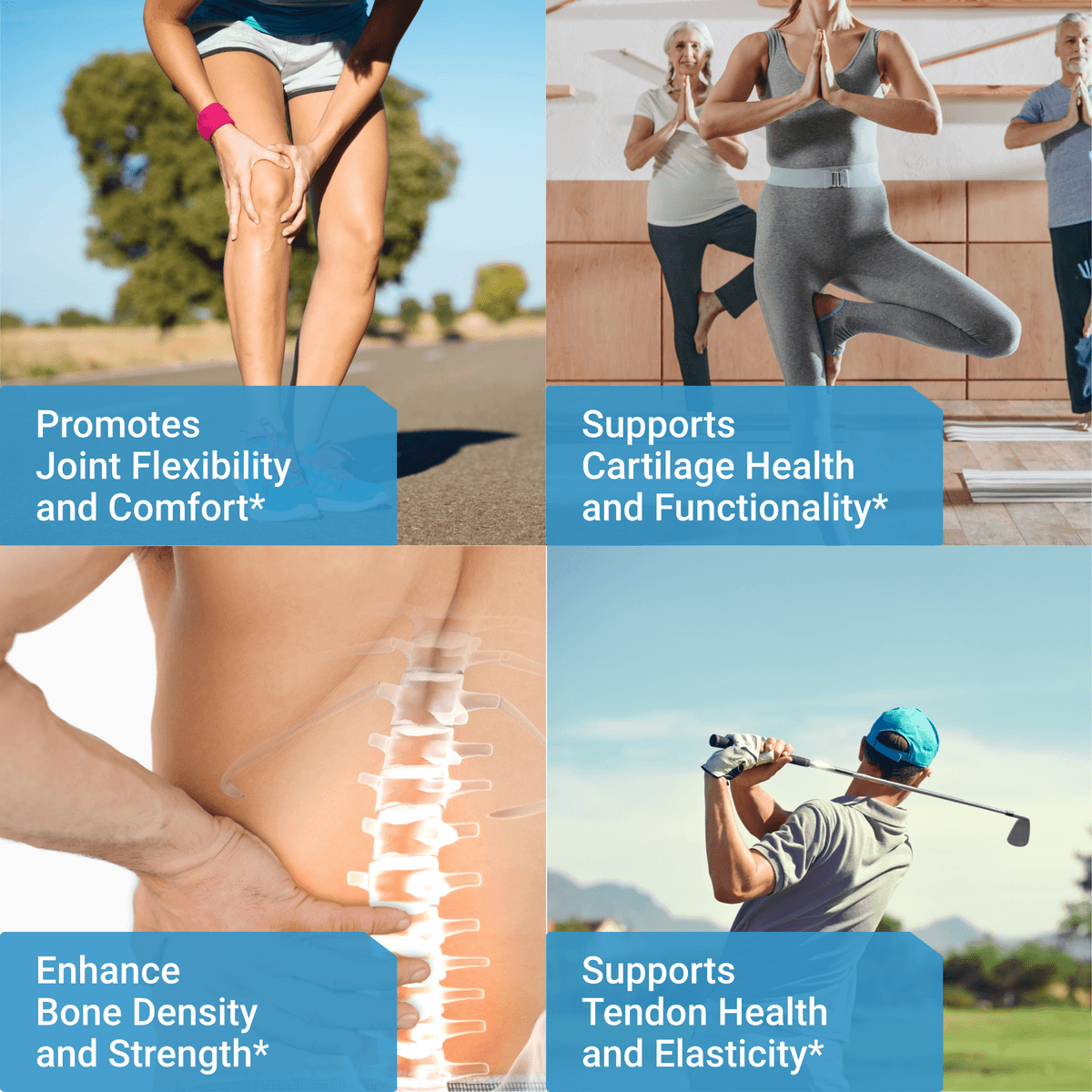 for JOINT | Collagen peptide II