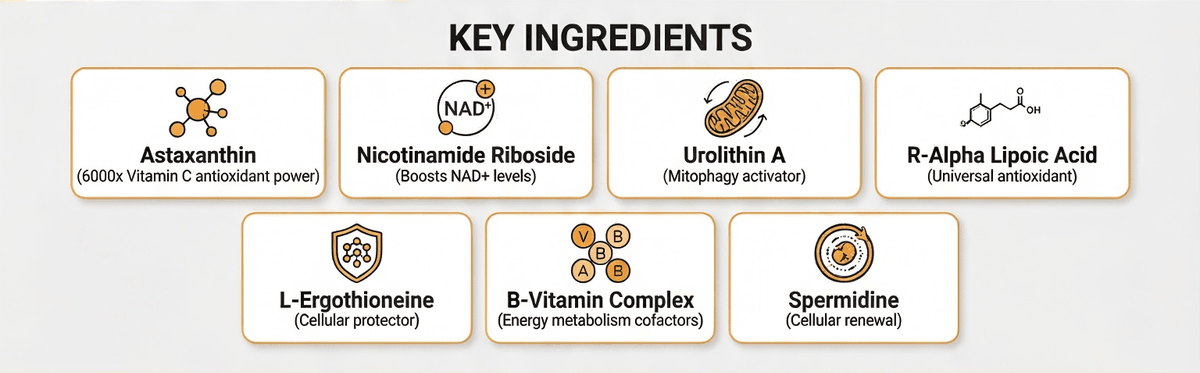 Cellular Nutrition Support