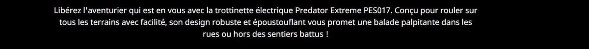 TROTTINETTE ÉLECTRIQUE ACER PREDATOR SCOOTER EXTREME 350/960W + GARANTIE FIRST RE