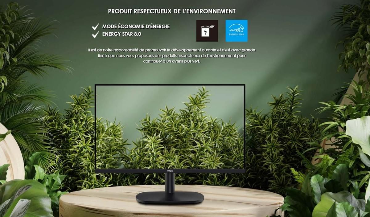 ÉCRAN PC MSI PRO 24