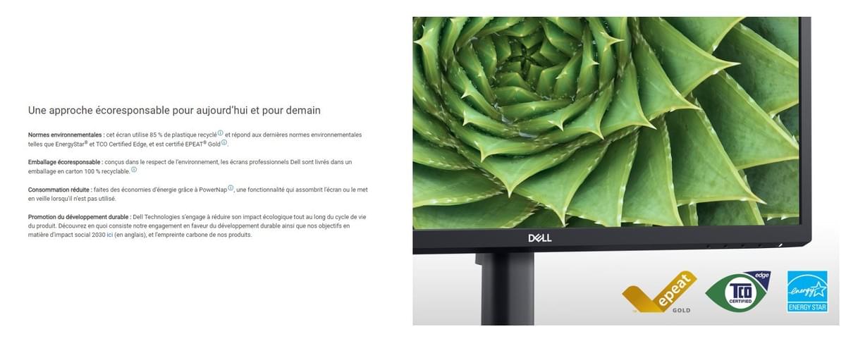 ECRAN PC DELL 24