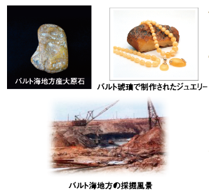 琥珀の特徴を持つ石に見える物体川揚がり