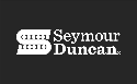 Erick plays Seymour Duncan '59 Custom Hybrid for Bridge
