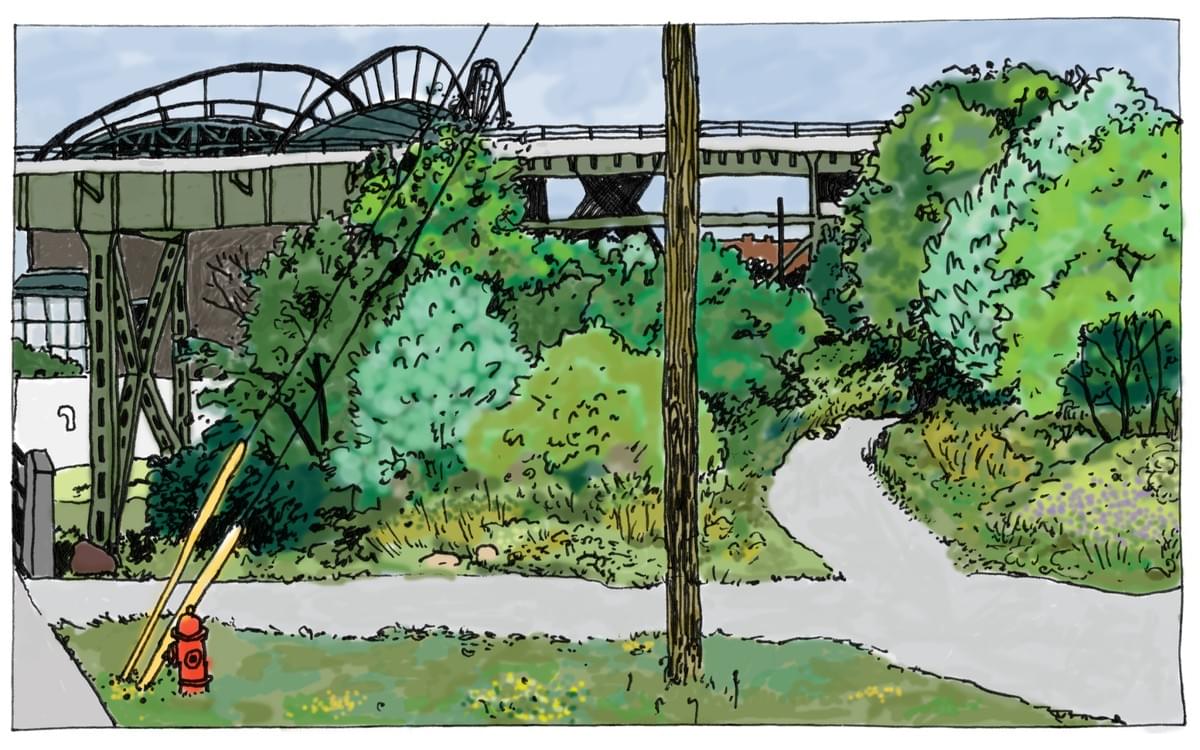 Section image