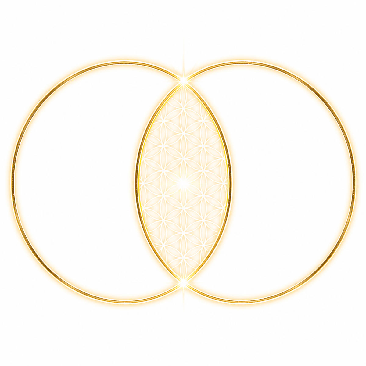 The Vesica Piscis