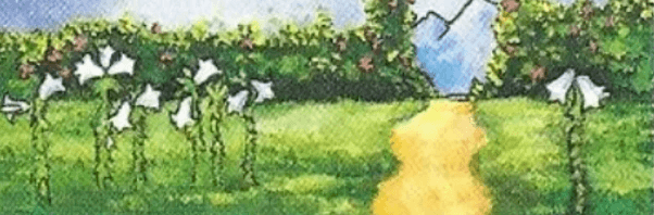 White lilies symbols of purity on the RWS Ace of Pentacles Tarot Card