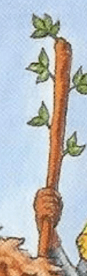 Section image