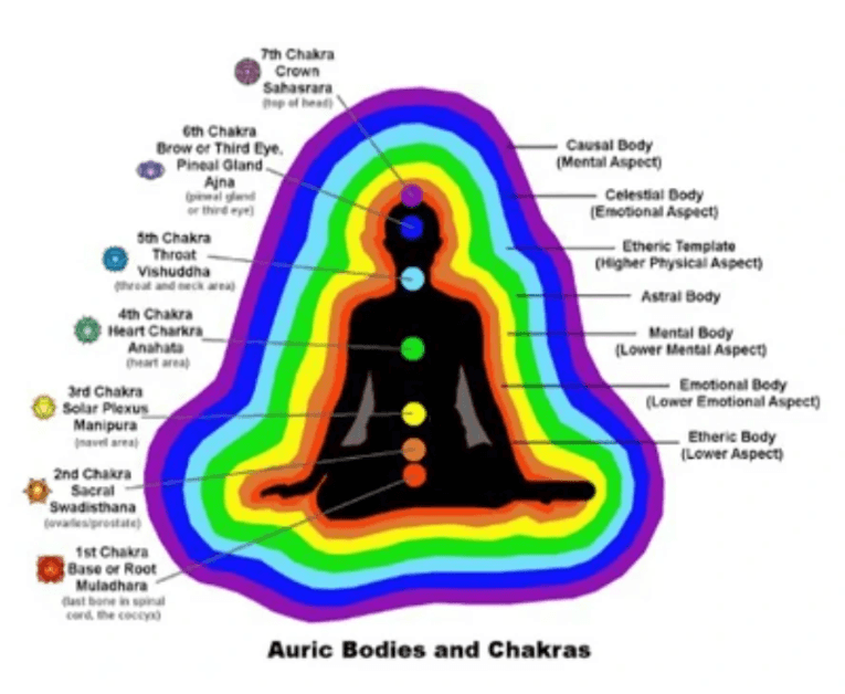 Auric bodies and chakras