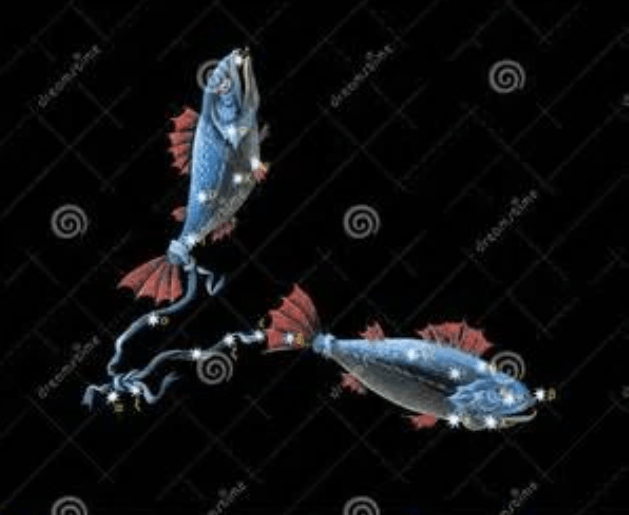 Pisces fish and constellation