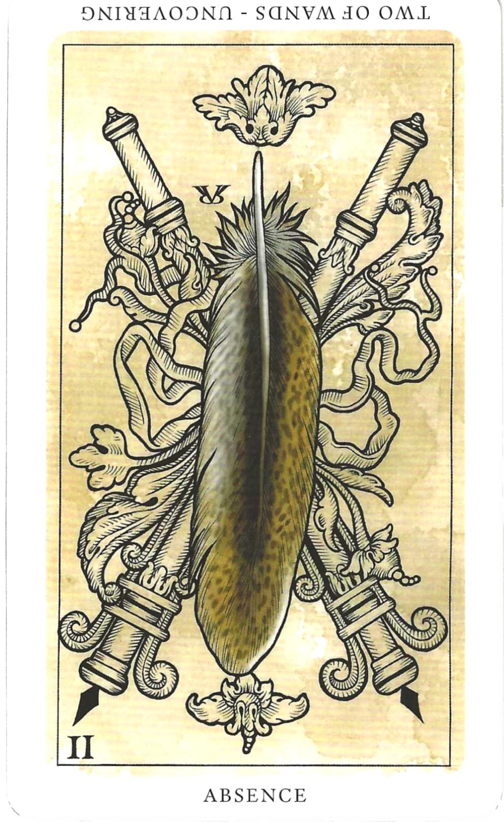 Daily Western Hermetic Tarot card comparisons critique. This month: Medieval Feathers  Tarot and Thoth.