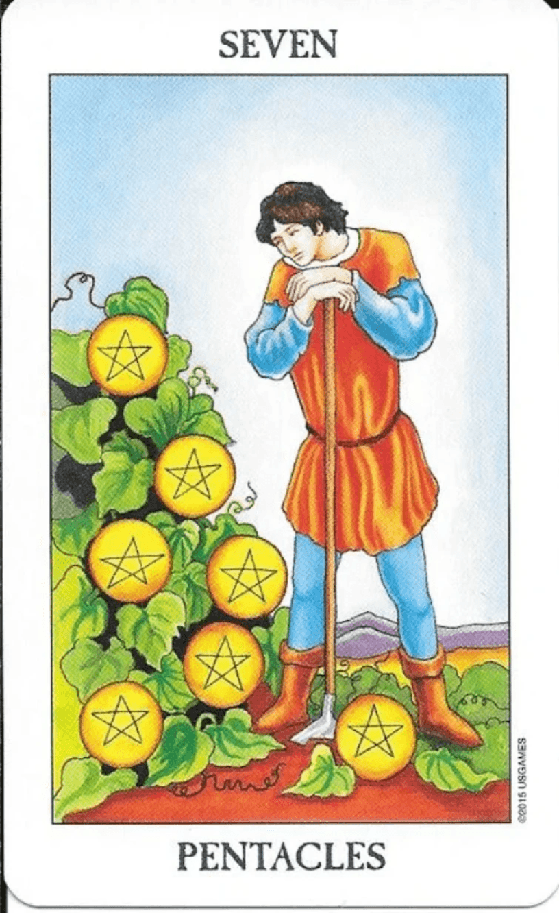 7 of pentacles-Rider-Waite-Smith Tarot