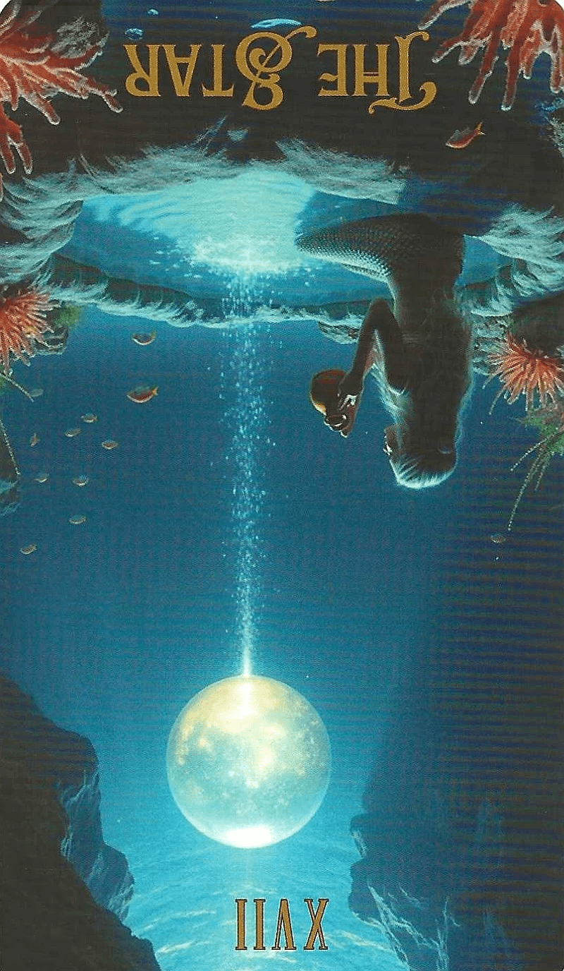 The Star-Key 17-The Ocean Tarot-reversed imagery