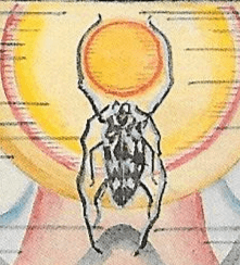 Water Strider imagery of the Thoth Moon Tarot Card