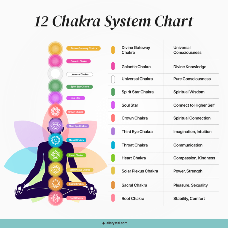 the 12 Chakra system